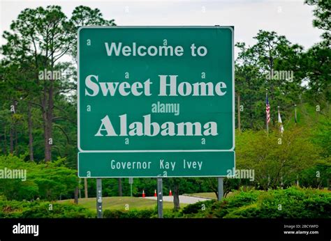 Welcome to Al.